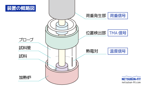 TMAの装置